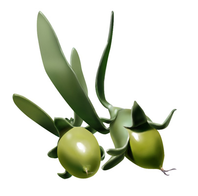 ưʪ����ʪ07