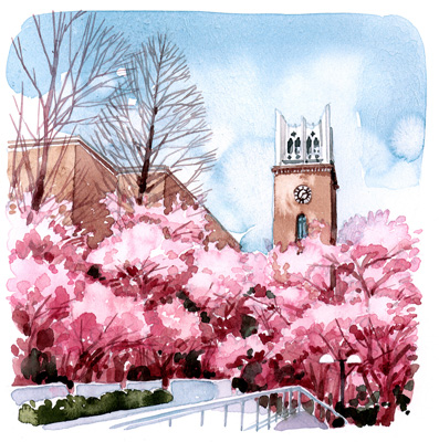 ���ɥ������׺���10